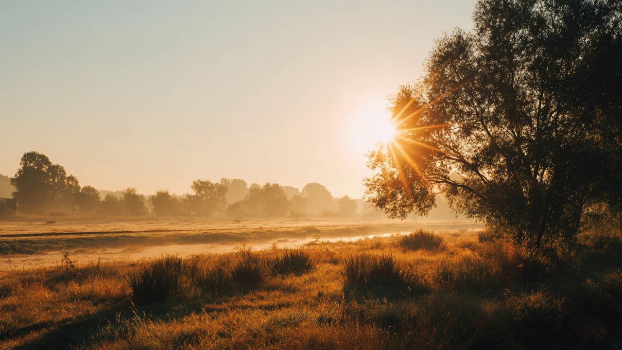 poetic mood ✨ a soft piano playlist for quiet hearts