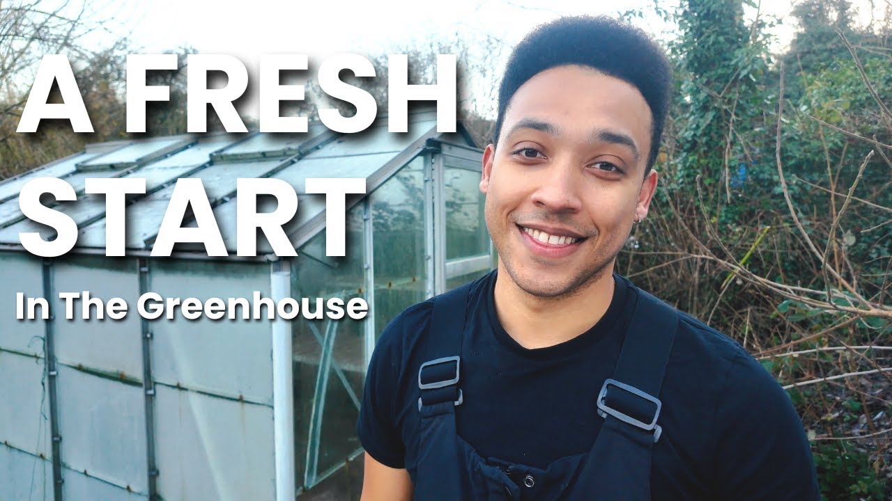 Clearing Out the Greenhouse | Allotment Day 3