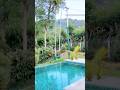 A Unique Plantation Home Stay In Wayanad! #shorts #travel #wayanad #kerala #kripalamanna #homestay