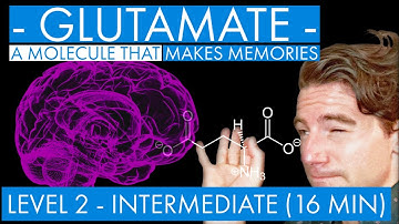 Glutamate - A Memory Molecule (synaptic plasticity mechanism) (Level 2 - Intermediate)