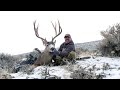 SOLO HNTR 10.9 LATE SEASON ARCHERY SOLO MULE DEER HUNT with Tim Burnett