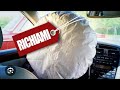 Novità Airbag Citroen: Cosa Devono Sapere i Consumatori | Associazione Codici Informa