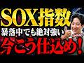 【仕込みました】SOXは今後こうなる!過去5回の暴落をガチ検証!仕込むならこうして!【投資信託/SOX/野村全世界半導体株/新NISA】