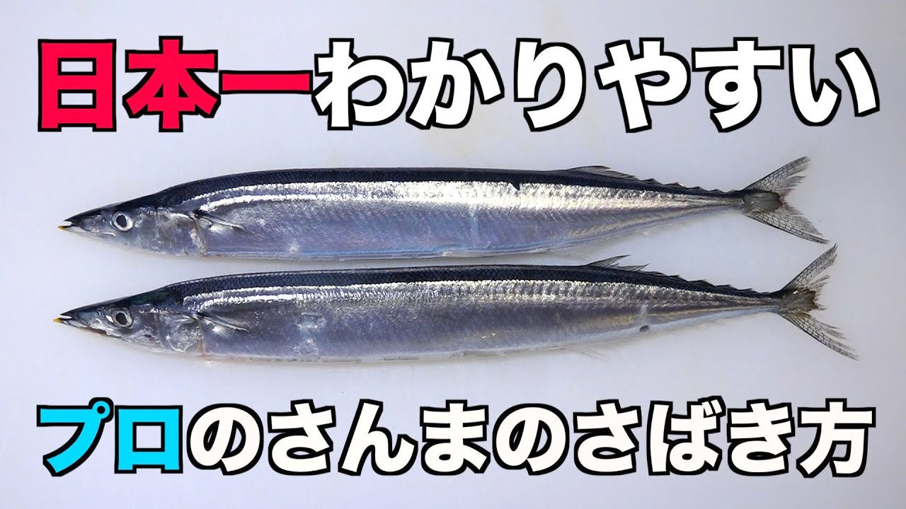 誰でも簡単わかりやすい 秋刀魚さんま さばき方 Youtube