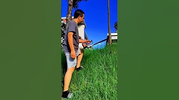 Process of removing harmful weeds from the garden