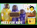 Learn about bees for kids  pollination for kids  beekeeping for kids