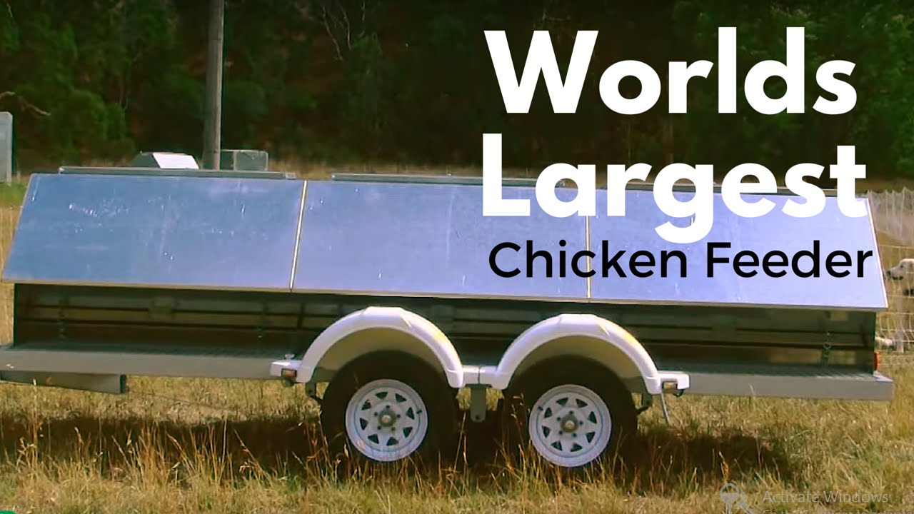 Worlds Largest Chicken Feeder Youtube