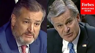 'Director Wray, What Are Y'all Doing?': Ted Cruz Confronts FBI Chief