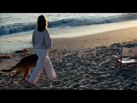 gated communities in the sphere of vero strand florida