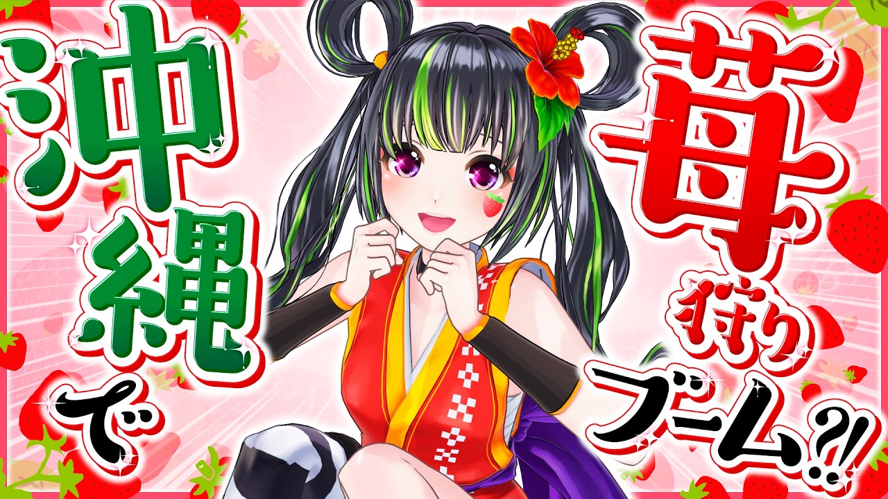Popular Spot] Strawberry Picking in Okinawa! [Chura Ichigo, Nanjo