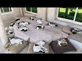 1日の中、一番平和な時間をライブ配信。live-streams of peaceful time.