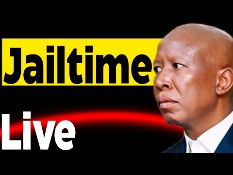 Will Julius Malema Go To Jail Live Watch Party Starting Soon 