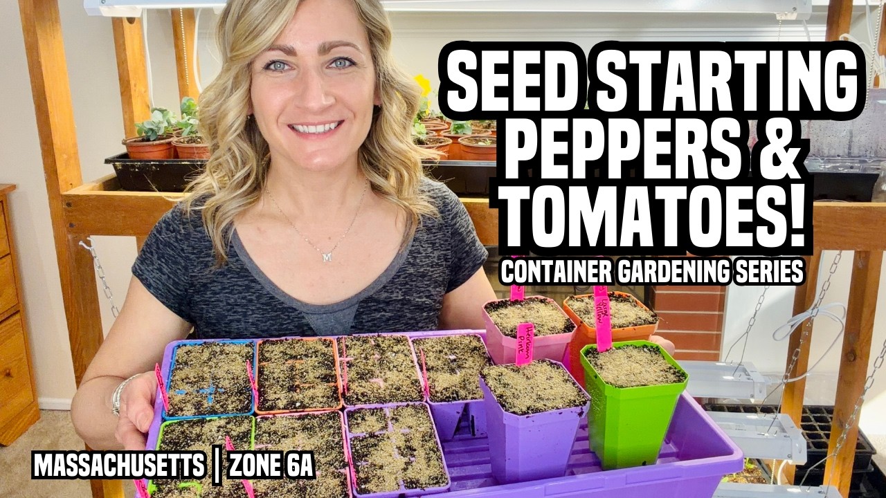 Seed Starting Pepper & Determinate Tomato Seeds | Container Garden Series Ep. 2