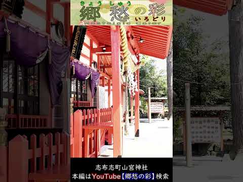 郷愁の彩【安楽山宮神社】天智天皇の御手植えの巨大クスの木のある神社#shorts