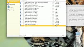 5 of 5 - SP Resize - Quicksilver Triggers.mov