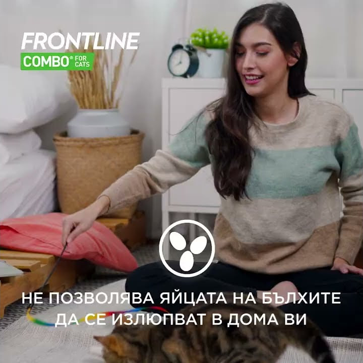 Frontline COMBO - защитете котката от бълхи и кърлежи с уникална, спот ...