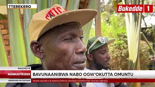 Download Lagu Agabuutikidde: Omugagga Bryn White ne banne bakomezeddwaawo mu Kkooti  Bavunaanibwa gwa kutta muntu MP3