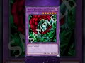 4186: This Maiden Of The Flowers Uses Blossoms To Spread Poisonous Pollen #ygo #discussion #new