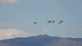 Arapahoe NWR Walden CO