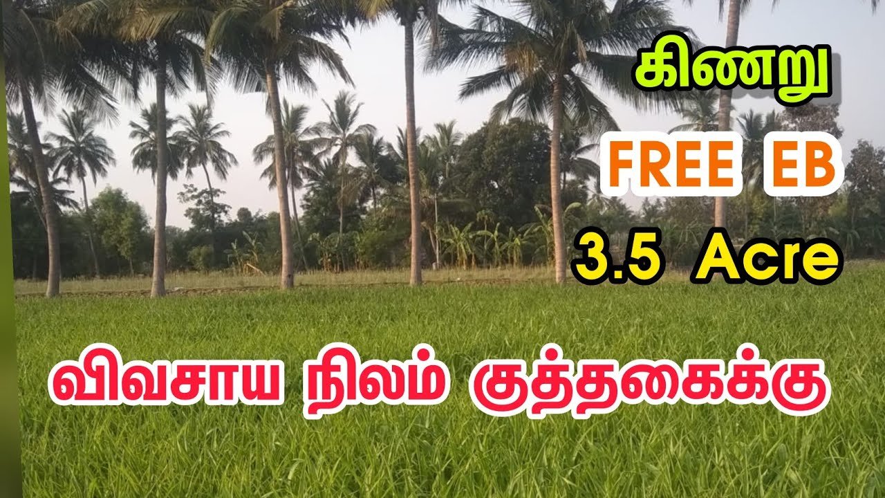 ID L1005 3 ஏக்கர் விவசாய நிலம் குத்தகைக்கு 3 Acre Agriculture land