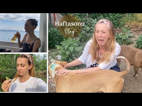 HAFTA SONU VLOG | yazlık, kalıcı oje, köpeklerle mücadelem
