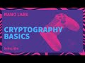 Cryptography Basics: Understanding the Equation C = aP + b | Nano Labs 🧪