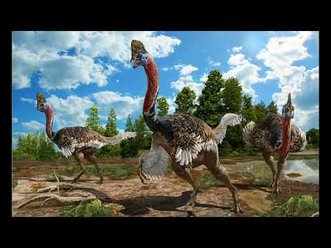 Oviraptor Sound 