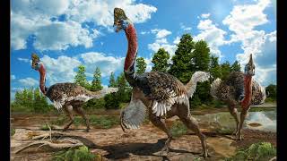 Oviraptor Sound