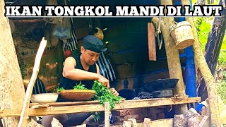 Ikan tongkol mandi di laut - takut kolestrol tapi makan semrawut | balado tongkol