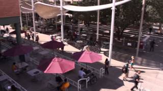 ASU Walk- Only Zones PSA (COM 319)
