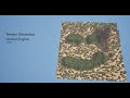 Terrain Generator - Unreal