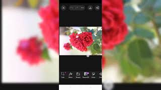 Masterclass de Correção de Cor em Retratos HDR  | Photoshop   Canon R5 4K 🎨#n925k#2167