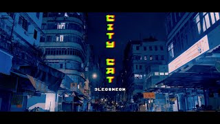 Miniatura de vídeo de "《City Cat》 - 3LegsMeow(弎腳貓)"