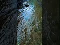 Peaceful River Sounds 🌿💧 #asmr #nature