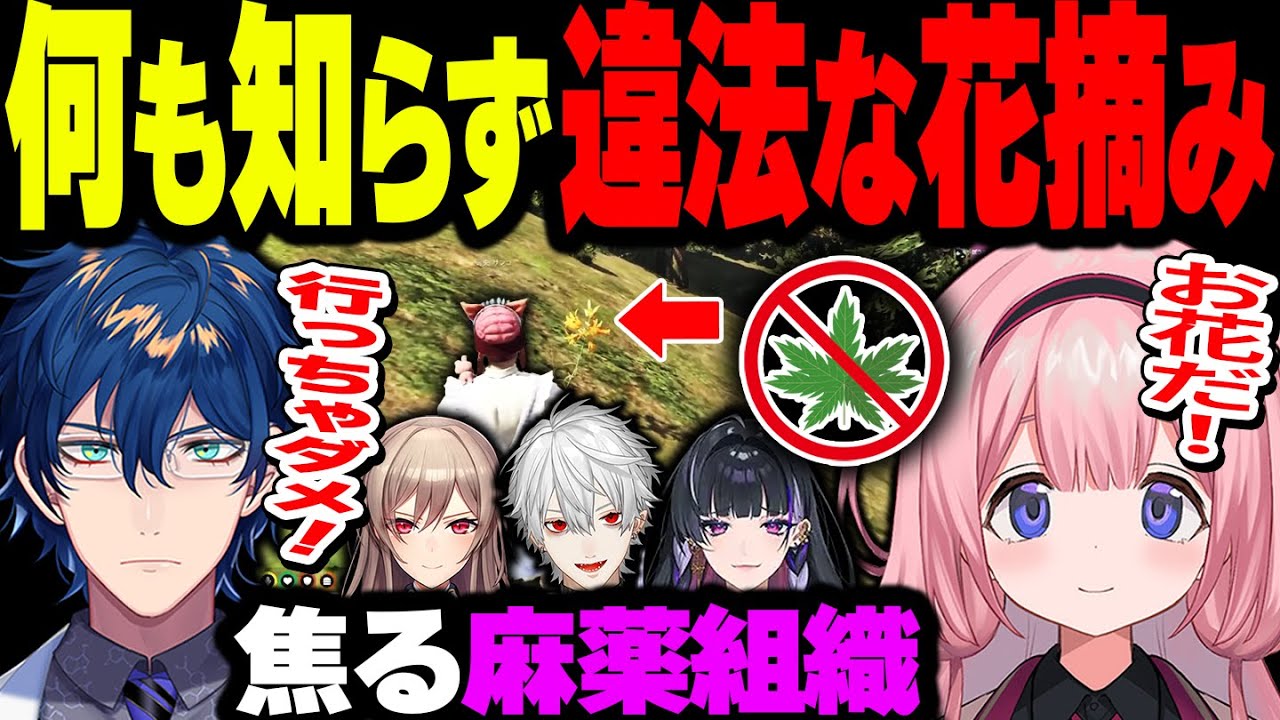 【にじGTA】何も知らずに違法な花摘みに行く箱入り娘の周央サンゴと心配でパニックになるレオス