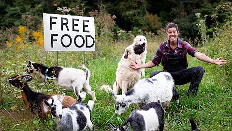 Rotational Grazing and Regenerative Agriculture with Livestock