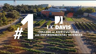 Discover UC Davis CA&ES: Leading the Future of Agricultural and Environmental Sciences