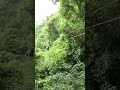We went ziplining over a costa rican rain forest  zipline costarica amazing