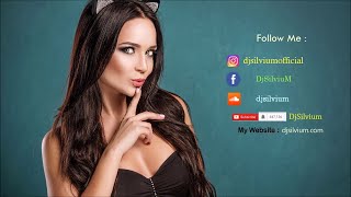 Party Mix 2017 | New Best Club Dance Music Mashups Remixes Mix 2017 MEGAMIX (DJ Silviu M)