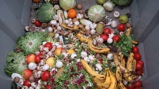 Madison Organic Collection Pilot Program
