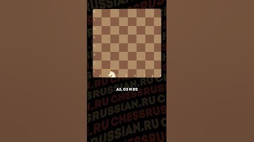 Исчерпать ходы коня #шахматы #обучение #шахматыдляначинающих