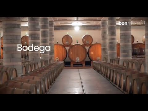 Viaja a Italia y conoce el mundo del vino con Bon Vivant
