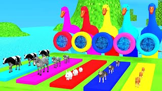 Choose the Right water pipe Game with 5 Giant Duck Cartoon Gorilla, Elephant, Cow Animals Game screenshot 4