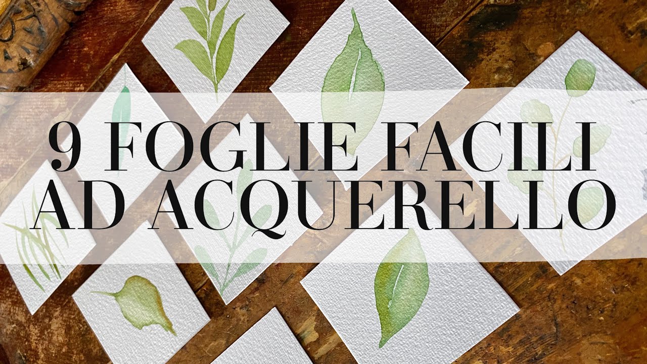 Kit Acquerello Istantaneo Per Principianti – Uccello E Farfalla – 16 Disegni Prestampati, Colori Vivaci - 3