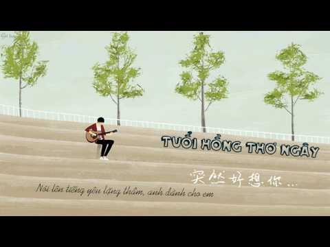 Tuổi Hồng Thơ Ngây Lời Bài Hát - [Lyrics]- Tuổi Hồng Thơ Ngây - Đồng Hoàng Sơn Guitar Cover