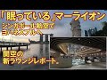 関空からシンガポール ヨハネスブルグ経由でマダガスカルへ 関空新ラウンジをレポート 眠っているマーライオンを見る シンガポール航空を利用 関空からシンガポール ヨハネスブルグ経由でマダガスカルへ 関空新ラウンジをレポート 眠っているマーライオンを見る シンガポール航空を利用