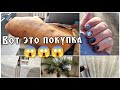 Саша купил свинью 🐷🐷🐷 Выбираем шторы на Озёрке 🪟 Выбрали обои в коридор