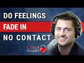 Do Feelings Fade In No Contact