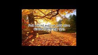 Axel johansson - Miracles 한국어 가사/번역