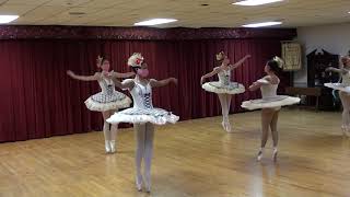 GSB Nutcracker 2020 (Martzipan)